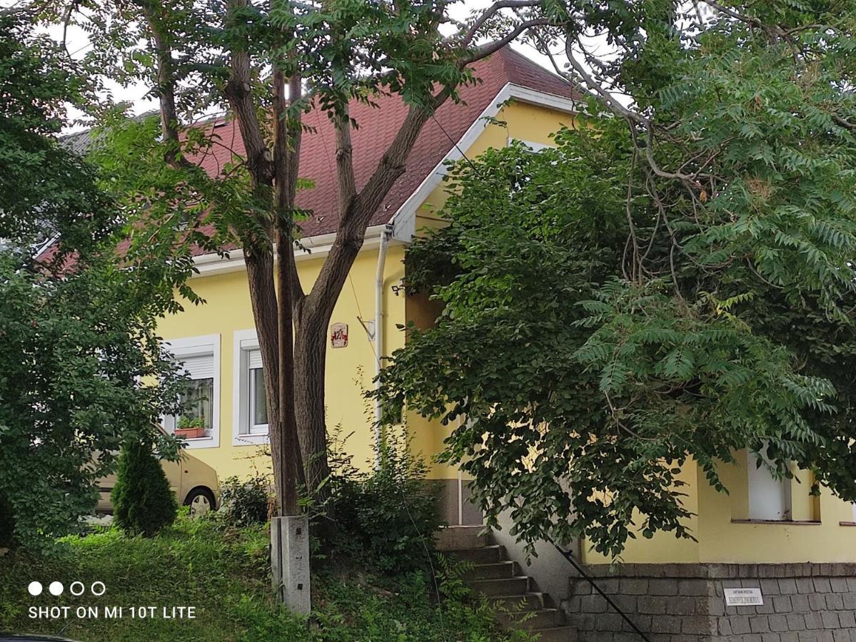 Szitakoeto Apartman Eger Exterior photo